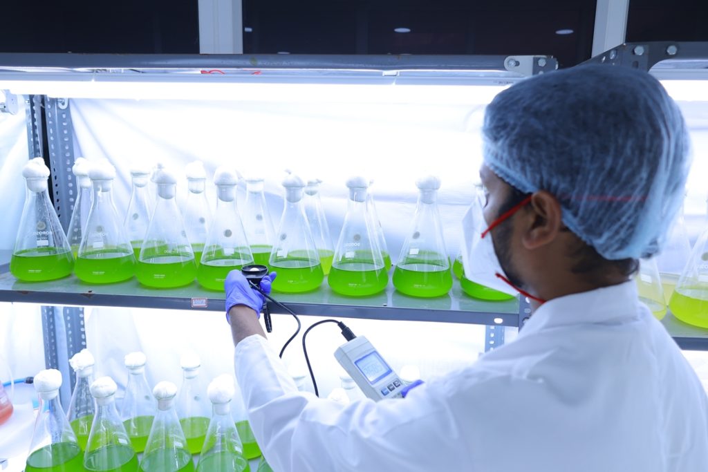 Laboratory strain culture