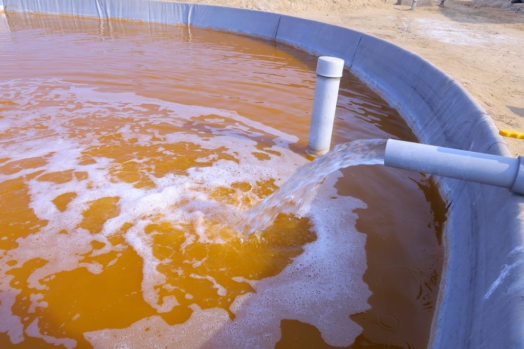 Orange Dunaliella salina culture at the Glaukos Algae facility